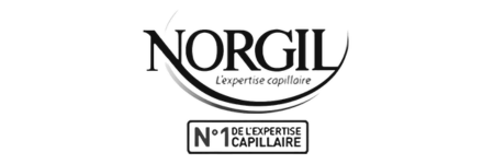 Formation commerciale Norgil